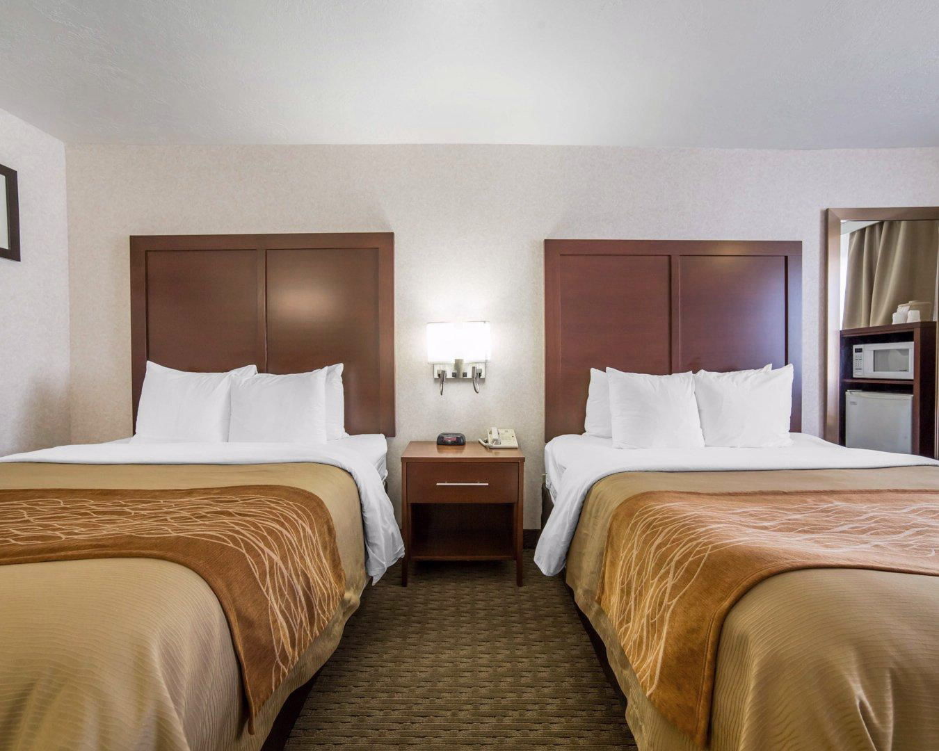 Comfort Inn Elko Rum bild